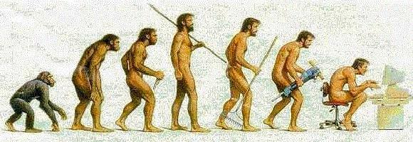 Anexo Evolucao2.JPG